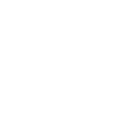 stmnt